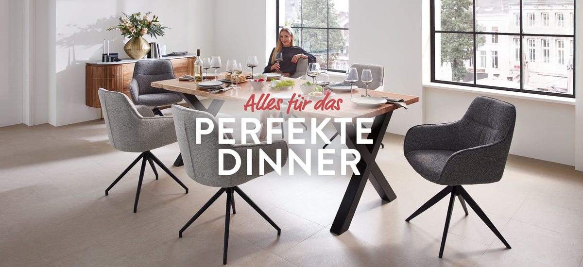 Dining und Esszimmerstühle kaufen